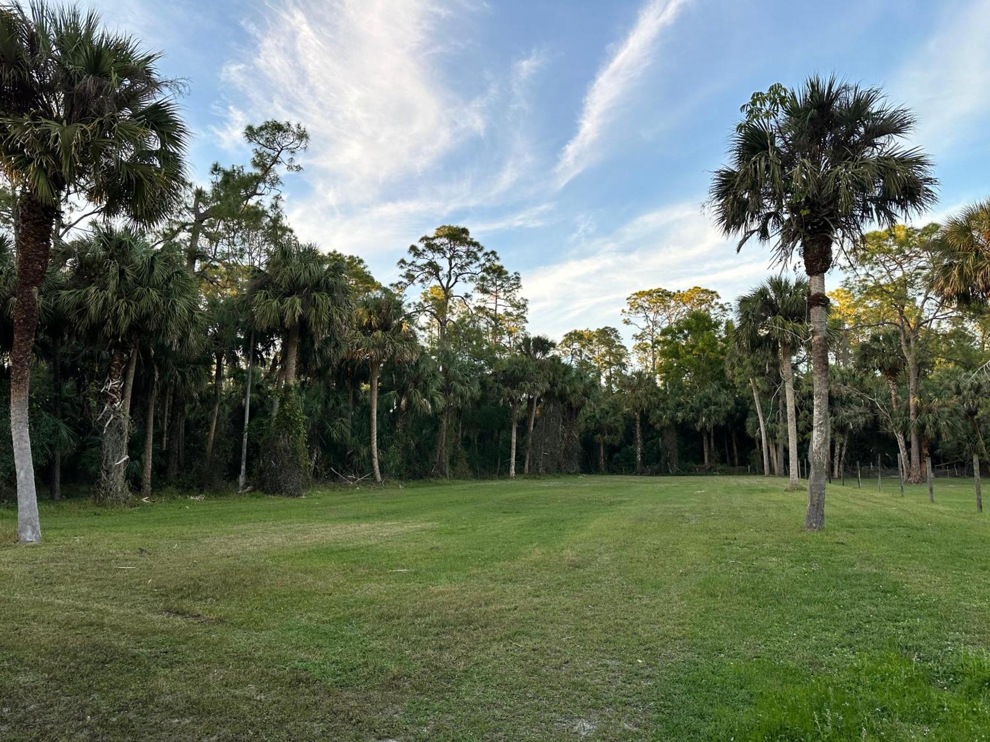 Vacation Pool Home In The Woods. North North Naples Exteriér fotografie